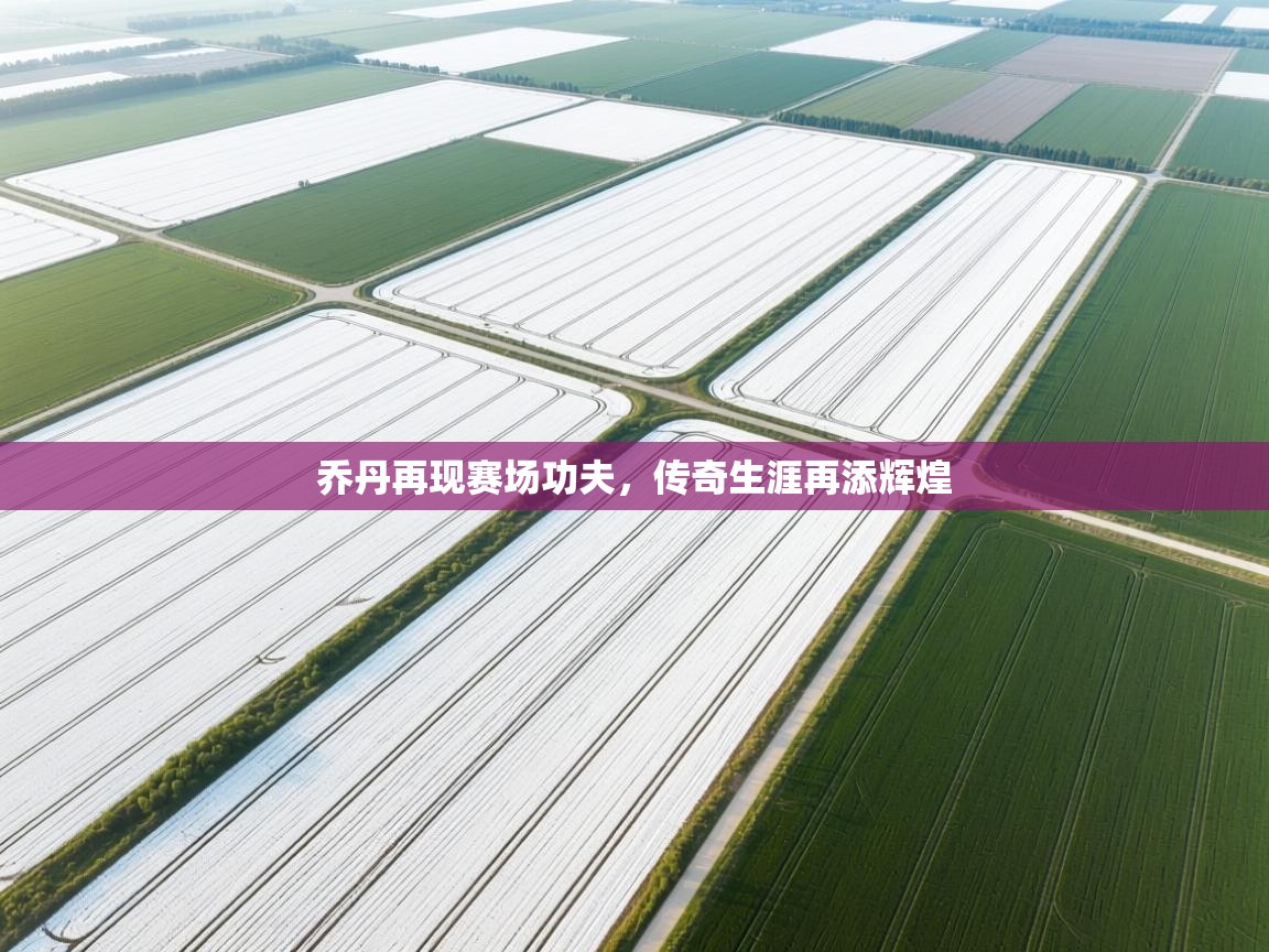 乔丹再现赛场功夫，传奇生涯再添辉煌  第2张