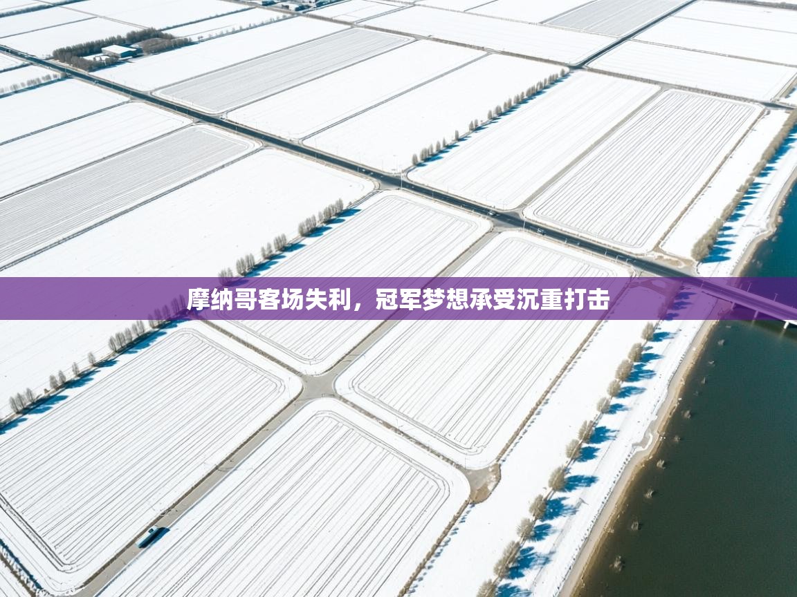 摩纳哥客场失利,冠军梦想承受沉重打击 第1张