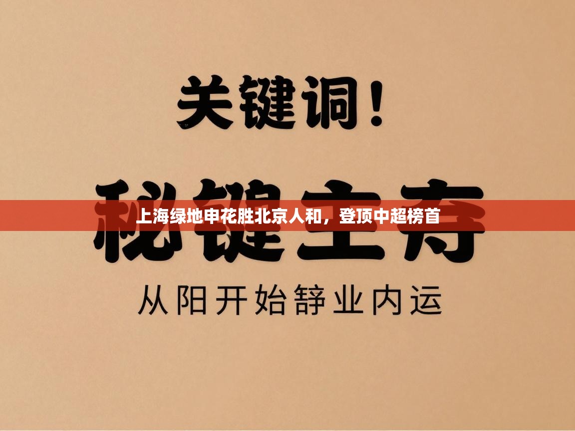 上海绿地申花胜北京人和,登顶中超榜首 第1张