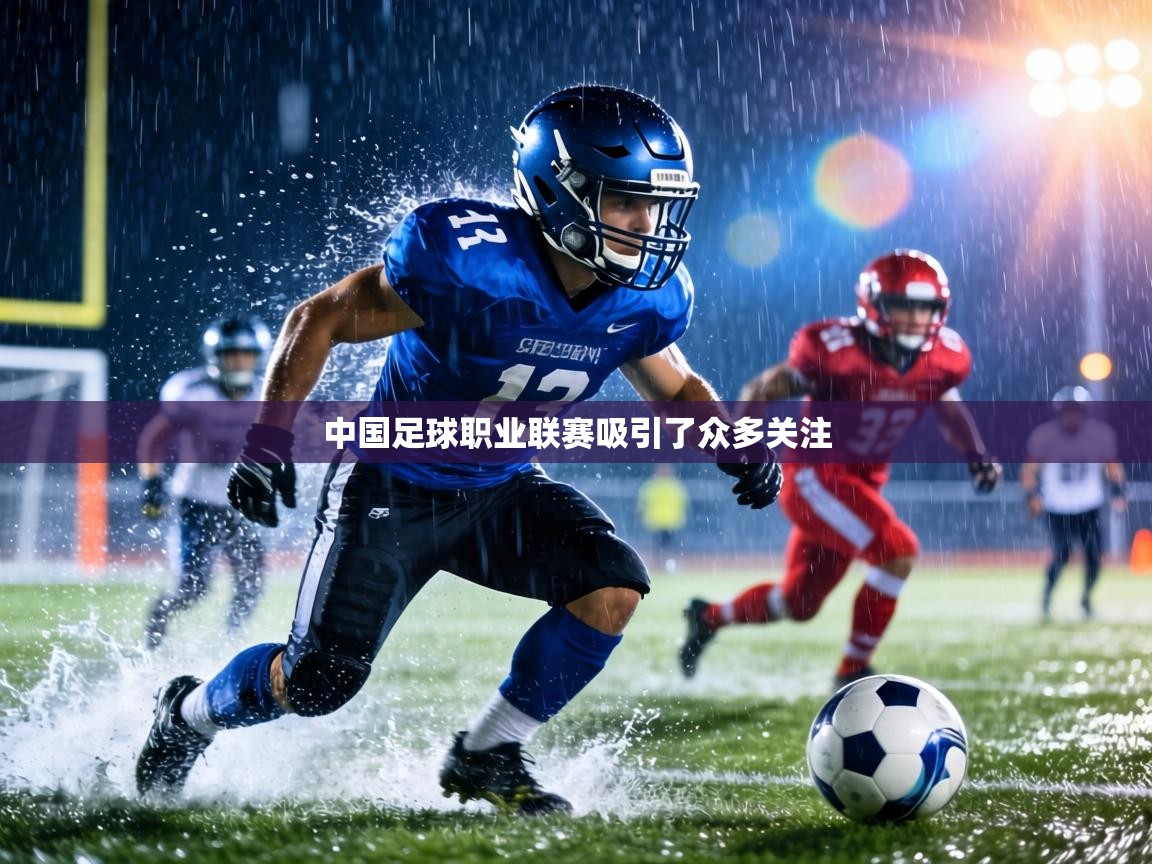 中国足球职业联赛吸引了众多关注  第1张