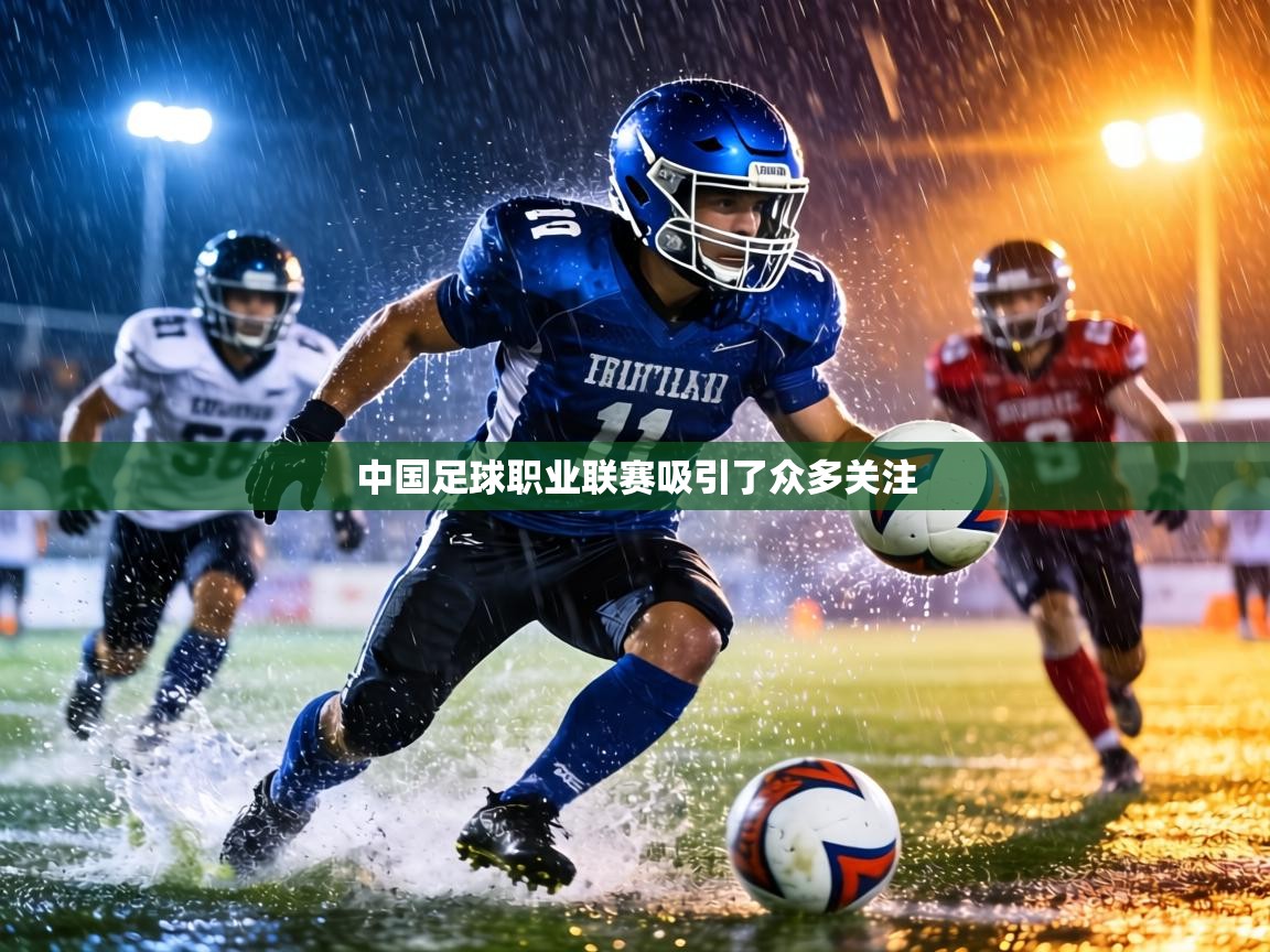 中国足球职业联赛吸引了众多关注  第2张
